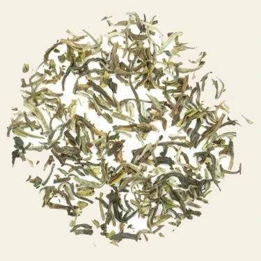 1st Flush Jun Chiyabari BIO