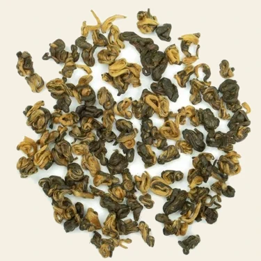 Black Golden Snail 1st Grade BIO
