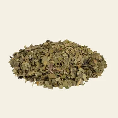 Mate BIO